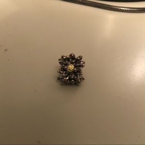 Edelweiss Pandora charm